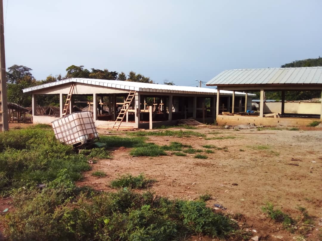 Marché couvert de Zouatta 2